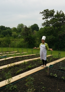 Chef Suzy in the Employee Organic Garden